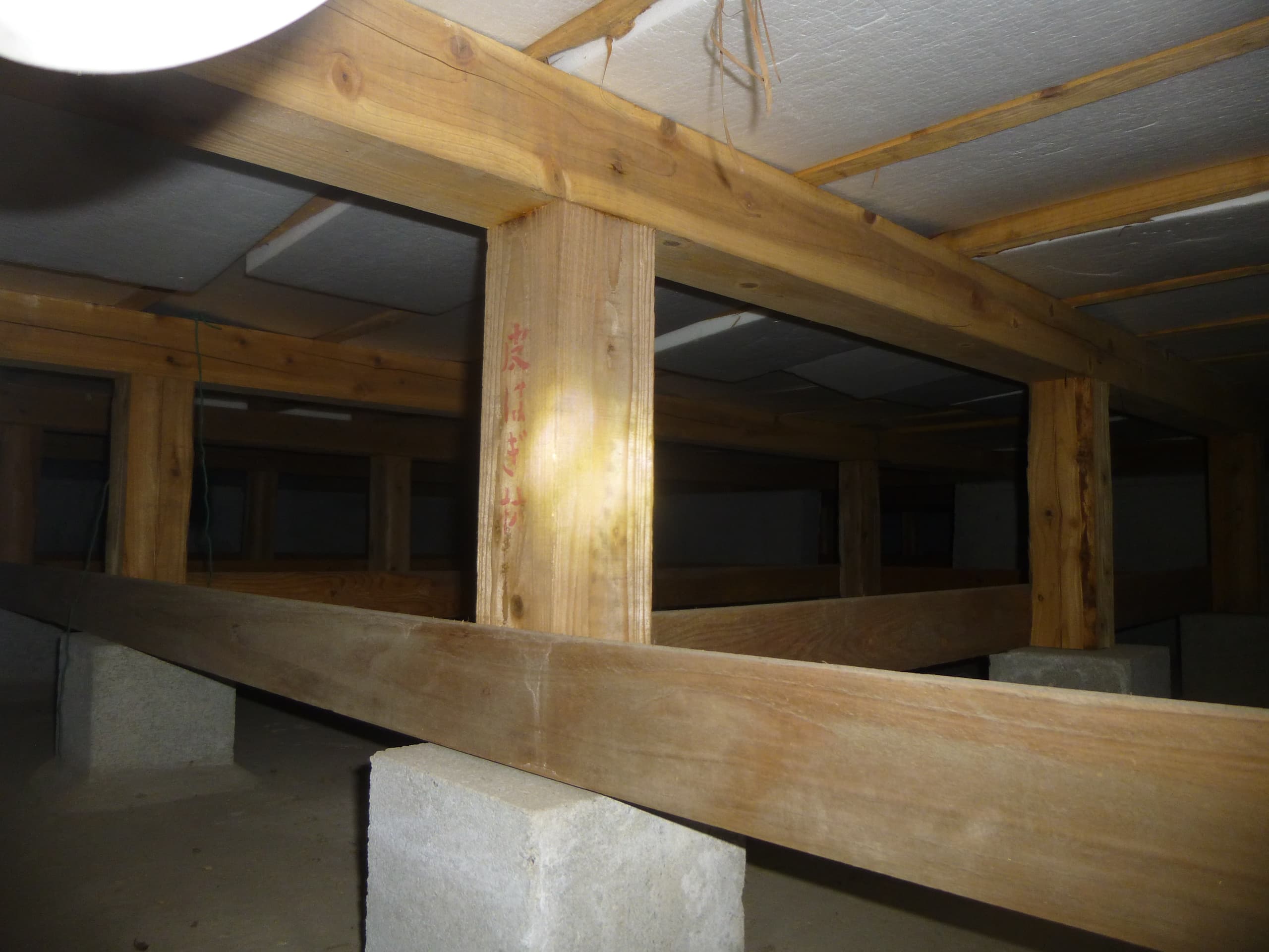 p1000283.jpg
